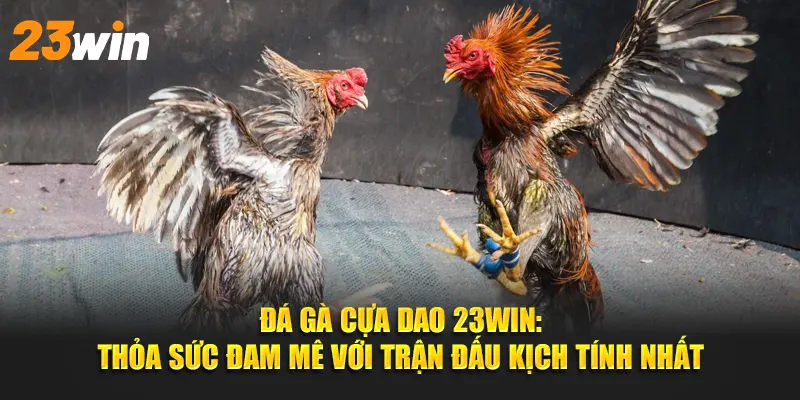 Hướng dẫn chi tiết cách thức tham gia đá gà cựa dao 23Win