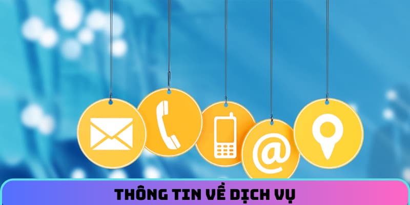 lien-he-c54-tong-quan